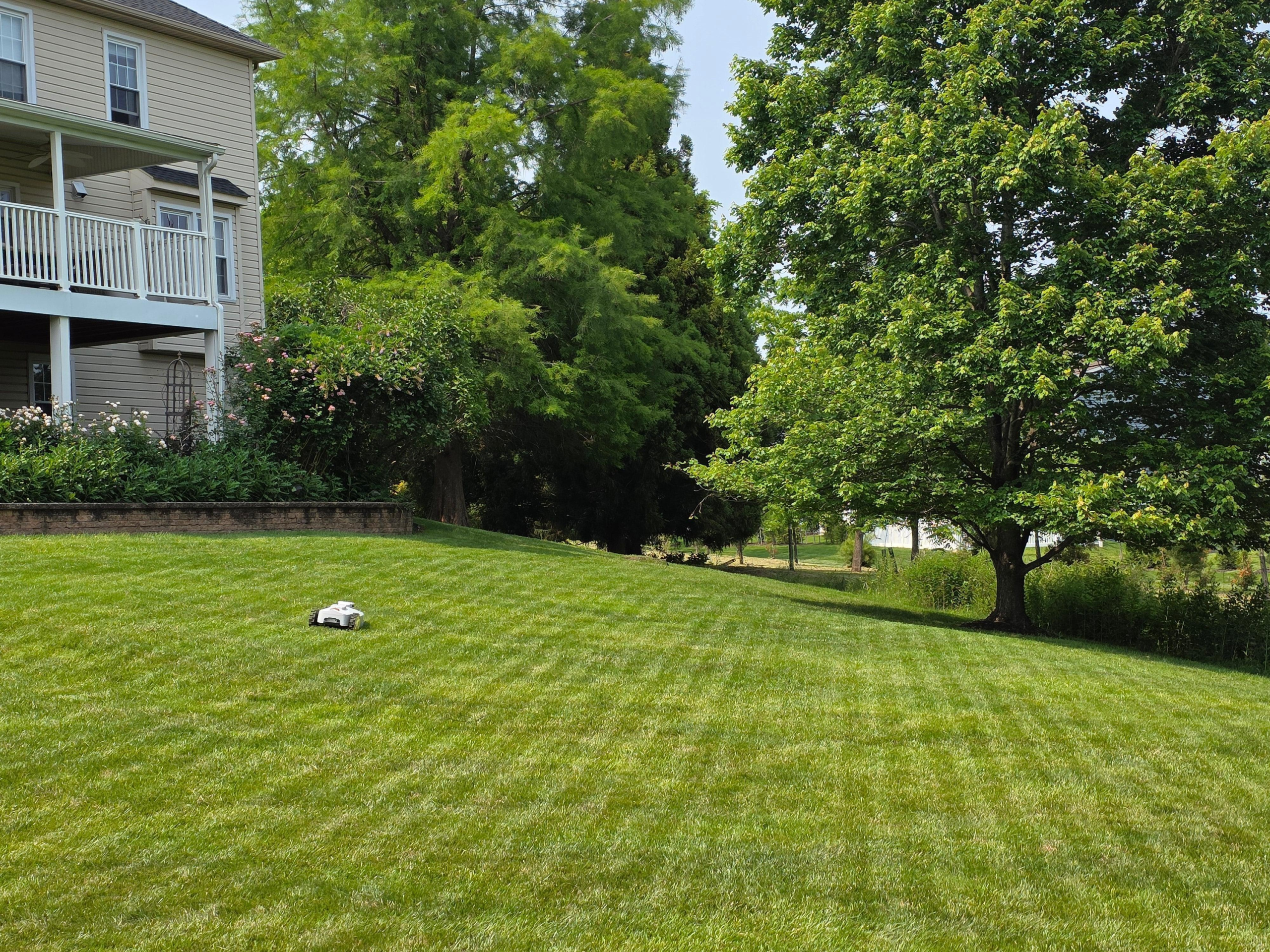 BESTMOW Titan-100 maintaining a residential lawn