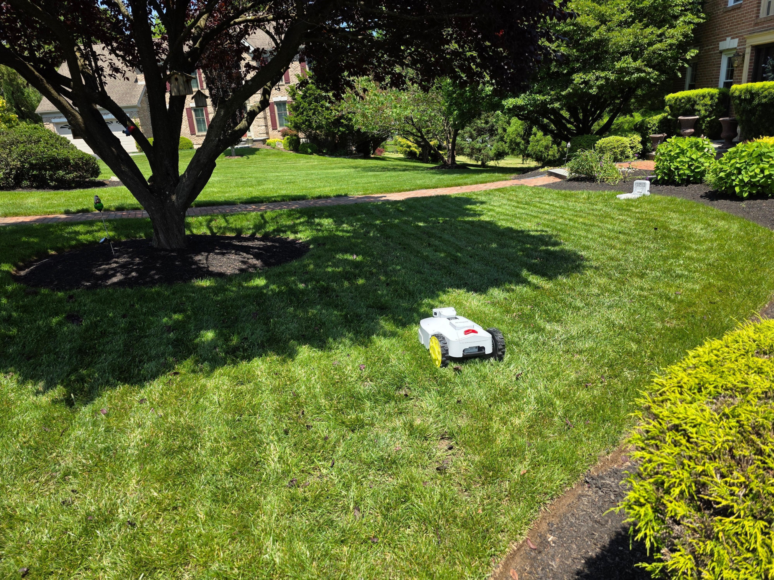 BESTMOW Titan-100 mowing beneath trees